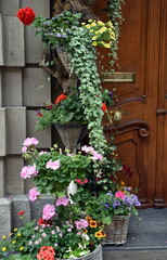 Fototapeta na wymiar Blumen vor dem Haus in Basel