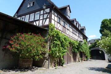 Gasse mit Fachwerkhäusern in Eltville am Rhein