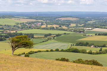 Fototapeta na wymiar Looking out over a South Downs landscape from Firle Beacon in Sussex