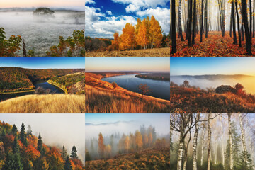 Autumn Collage. series of autumn landscapes