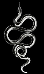 White Ink crooked snake on black background