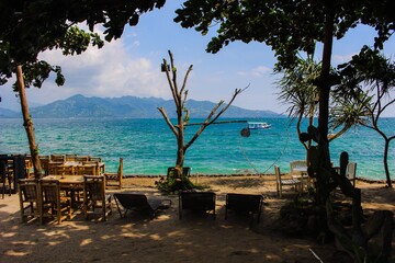 tropical beach with palm trees