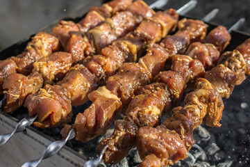 Shish kebab on skewers. Fry meat on coals. Picnic food. Grilled cue ball. BBQ meat in spices and marinade. Juicy cuts of meat in the smoke of the fire.