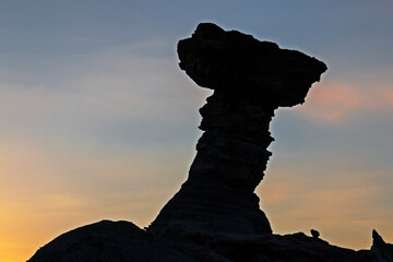 The mushroom, Moon Valley, San Juan State, Argentina ancient geological rock formation.