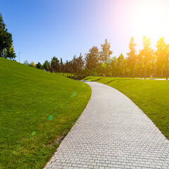 Walkway, lawn and trees in the park
