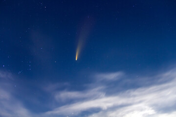 Neowise comet with light tail in dark blue night sky.