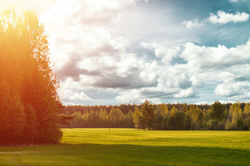 Beautiful summer landscape green field forest and blue sky.