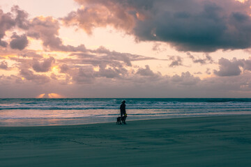 Fototapeta premium woman and dog on the beach at sunset