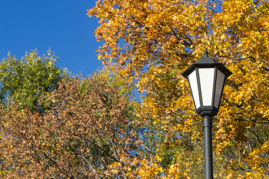 street lamp against the background of autumn trees, a clear day, focus on the flashlight