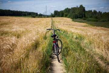 Fototapeta na wymiar vintage bike in the wheat field at hot summer day