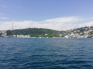 Naklejka premium dav