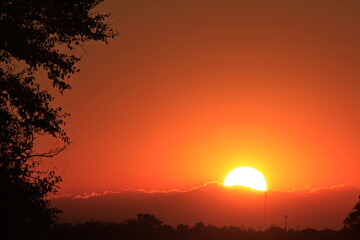 sunset over a farm field in Kansas with a tree silhouette.