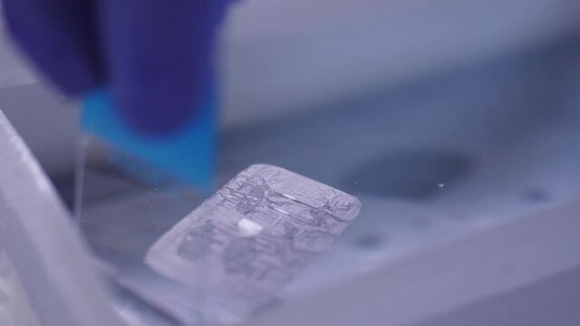paraffin section being mounted on a microscope slide laboratory slow motion