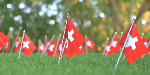 Many flags of Switzerland in the grass. National holiday related 3D rendering