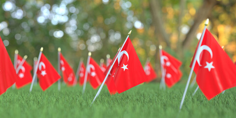 National flags of Turkey in the grass. Celebration related 3D rendering