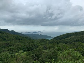 Fototapeta na wymiar Forêt et baie de Hong Kong 