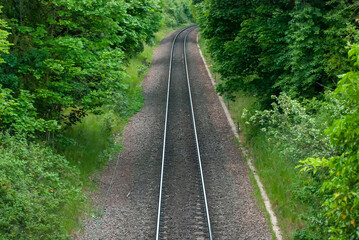 Obraz premium A single railway line running through a forest