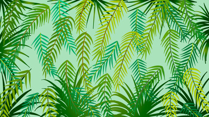 Vector background of tropical palm leaves