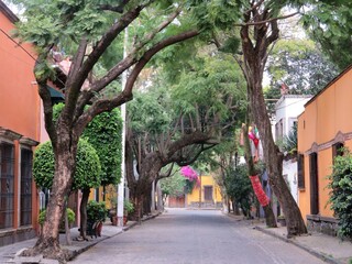 narrow street in Coyoacan, Mexico city 
