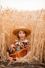 Little blonde girl in wheat field eats bread and drinks milk.eco-friendly farm products