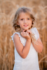 Fototapeta na wymiar Little blonde girl walks in a summer wheat field