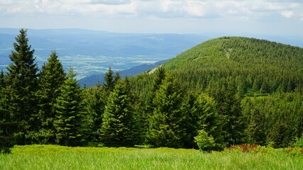 górski krajobraz z horyzontem i drzewami