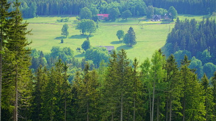 zielone zbocze góry z domkami i drzewami