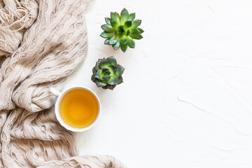 Hygge style composition with warm blanket, cup of herbal tea and two beautiful succulent flowers in pots on white concrete background top view.