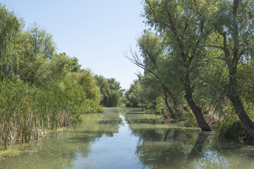 Fototapeta na wymiar Waterscape of channel in the Vilkovo city