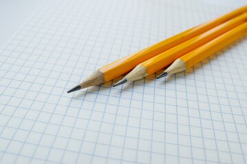 Yellow slate pencils on a white blank sheet of notebook in a cage. School.