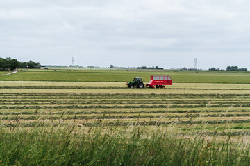 Dutch field