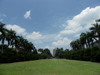 Fototapeta na wymiar Sunny view of the NTU Palm Avenue