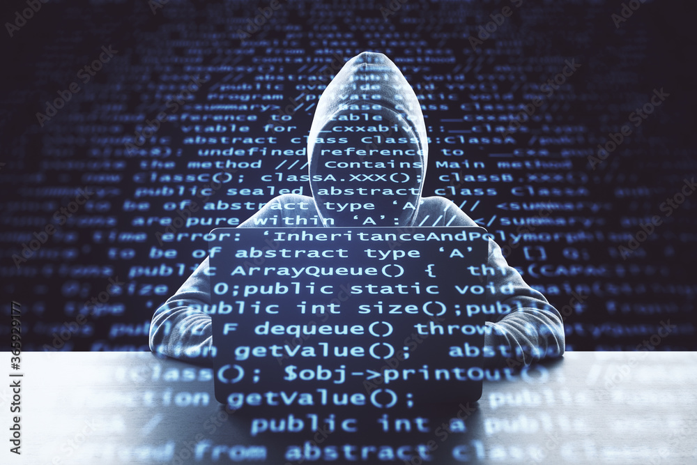 Leinwandbilder Hacker using laptop computer with programming code.