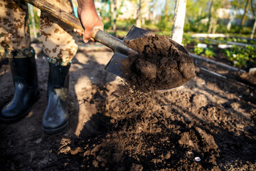 Gardener digging in the garden. Soil preparing for planting in spring. Gardening.
