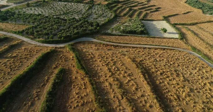 Picturesque scenic flight above golden harvested wheat farm in beautiful rural countryside field, Koura, Lebanon, overhead aerial approach tilt down