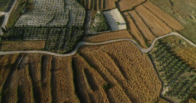 Scenic landscape flight above golden harvested wheat farm in beautiful rural countryside field, Koura, Lebanon, overhead rising aerial
