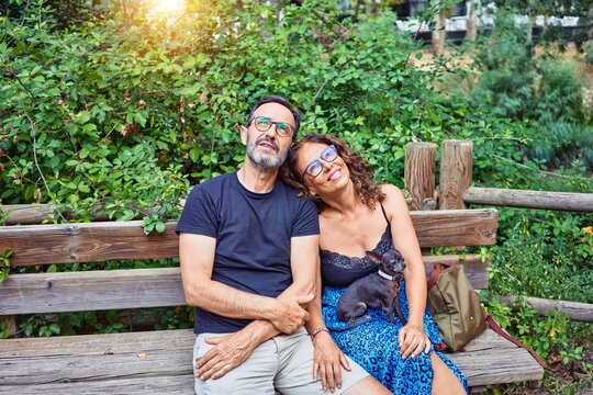 Middle age couple smiling happy looking at the sky. Sitting on the bench with chihuahua dog at park