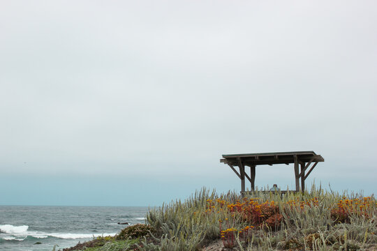 Asilomar State Beach Coastal Trail