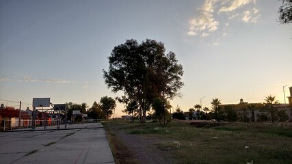 sunset in the city © Isaias