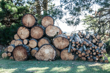 stack of logs
