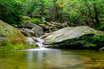 Naklejka na ściany i meble Waterfall on creek near mossy rocks, North Carolina, Appalachia, long exposure
