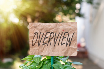 Word writing text Overview. Business photo showcasing description of facts findings and objectives...