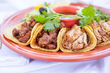 A closeup view of a plate of street tacos, in a restaurant or kitchen setting.