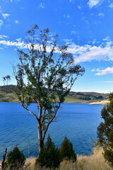 Fototapeta na wymiar A view of Lake Lyell near Lithgow, Australia