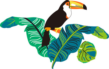toucan bird on a branch