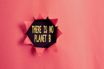 Conceptual hand writing showing There Is No Planet B. Concept meaning Choosing ecofriendly...