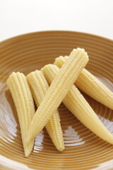 baby corn on dish with copy space
