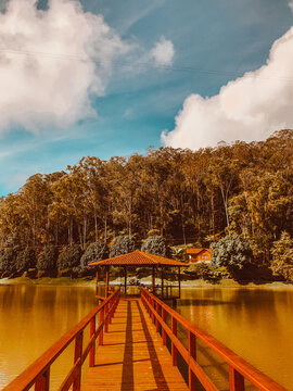 bridge over the river