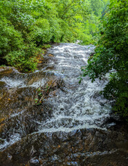 A North Georgia river running down a mountain through lush foliage.