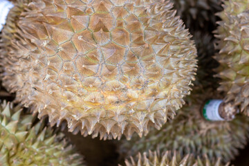 Lots of exotic durian fruits, top view, a natural background